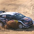 Rally de Portugal 2018  (193).JPG